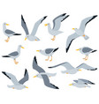 cartoon seagull birds sitting flying and walking vector image vector image