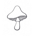 edible mushroom outline hand drawn sketch vector image vector image