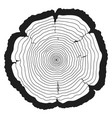 tree age year rings wooden saw cut vector image vector image