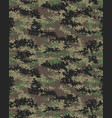 digital fashionable camouflage vector image