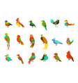 exotic birds from jungle rain forest set vector image