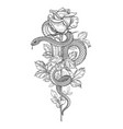 twisted snake and rose on high stem vector image