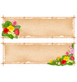summer tropical frame design vector image vector image