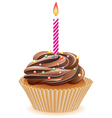 chocolate cupcake vector image