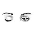 female open and closed eyes isolated on white vector image vector image