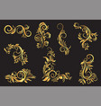 gold and black floral ornament vector image