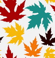seamless pattern with maple leaves vector image vector image