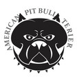 pit bull head vector image