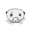 animal head otter sketch graphic cute monochrome vector image