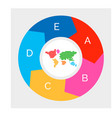 circle infographics template for diagram graph vector image