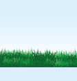 green grass on a blue background vector image