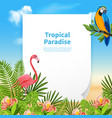 summer paradise background composition vector image