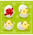 easter eggs chicks vector image vector image