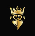 graphic head gorilla with crown on gold color vector image
