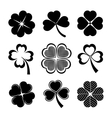 shamrock and four leaf clover vector image