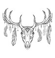 contour a deer skull with antlers and feathers vector image vector image