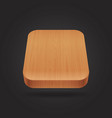 wooden icon on the black background vector image vector image