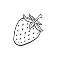 doodle sweet strawberry vector image vector image
