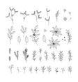 hand drawn christmas floral vector image