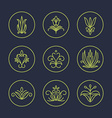 set of thin line floral design elements for logos vector image vector image