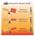 person will gain weight charts vector image vector image