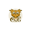 small and cute baby owl for your logo vector image