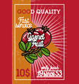 color vintage fruit banner vector image vector image