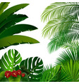 tropical jungle on white background vector image