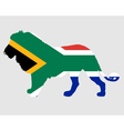lion south africa vector image