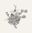 flowering branch with spring flowers vector image vector image