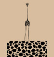 image giraffe body on beige vector image vector image