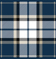 blue and black tartan plaid seamless pattern vector image