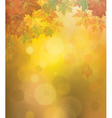autumn background vector image vector image