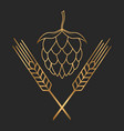 hop and barley golden emblem icon label logo beer vector image