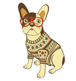 bulldog in glasses and sweater vector image