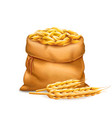 realistic bag with unrefined wheat grains vector image vector image