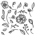 set of flowers and leaves vector image