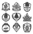 vintage monochrome conifers labels set vector image