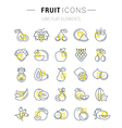 set flat line icons fruit vector image vector image