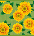 sunflowers seamless vector image vector image