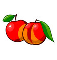 drawn ripe peach and apple vector image
