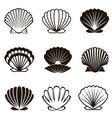 set seashells vector image