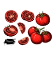 Tomato drawing set isolated tomato sliced Vector Image