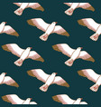 seamless pattern with seagulls vector image vector image
