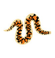 eryx jaykari - arabian sand boa - top down view vector image vector image