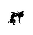 karate sport activity silhouettes vector image