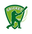 cricket batsman shield vector image