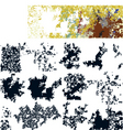 grunge textures vector image