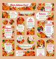 autumn leaf tag and fall harvest greeting card set vector image