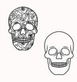 skull outlines with flowers inside floral vector image